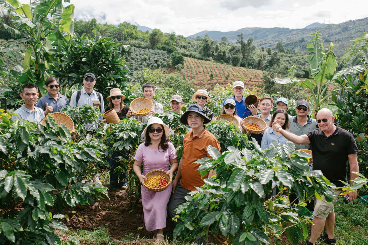 Tour cà phê Khe Sanh đem đến cho du khách những trải nghiệm thú vị